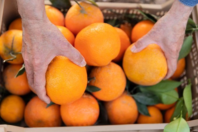 Oranges BIO de Sicile